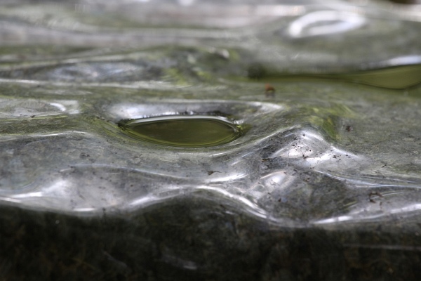 flusswaerts   024.jpg